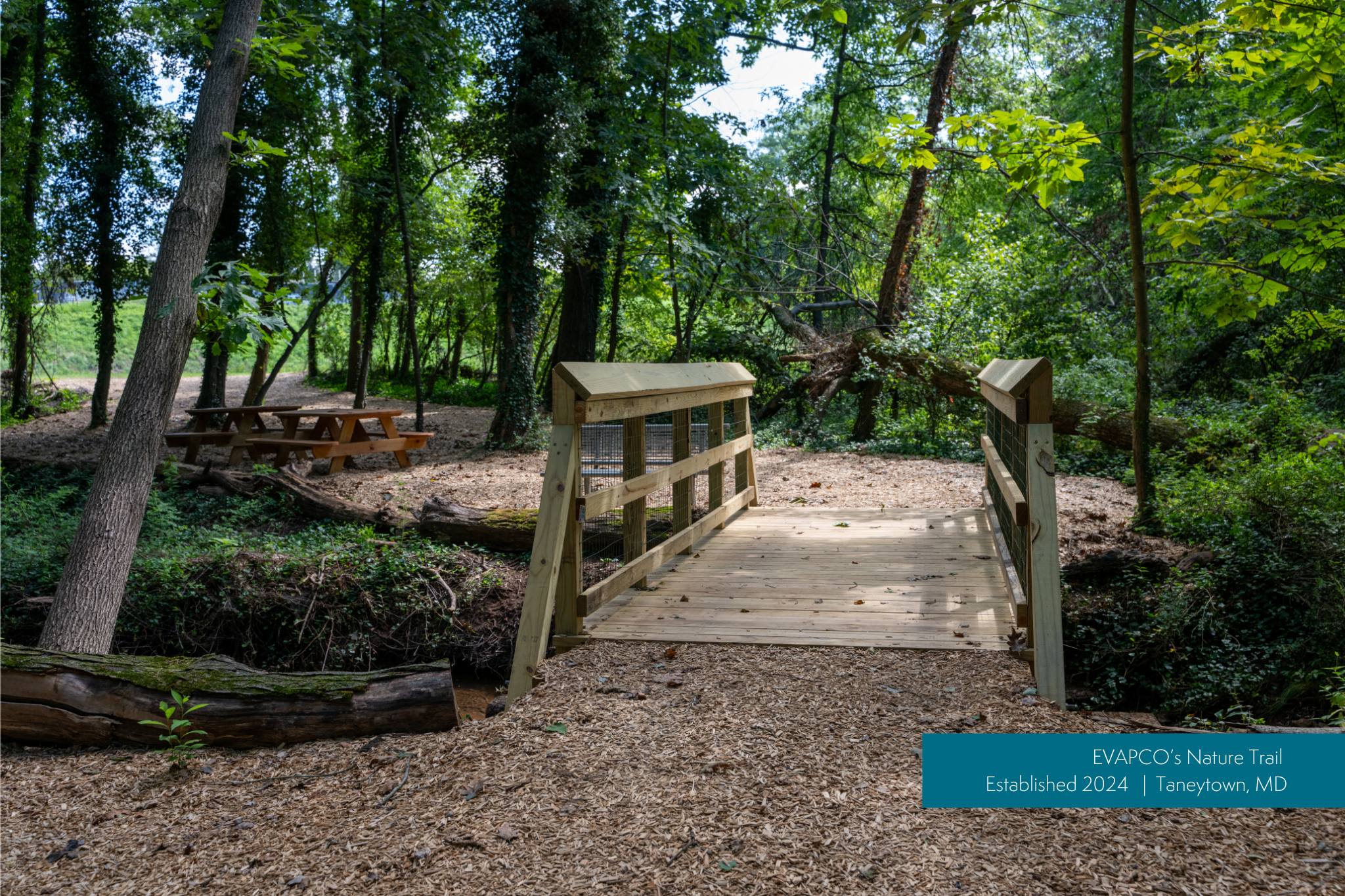 nature trail